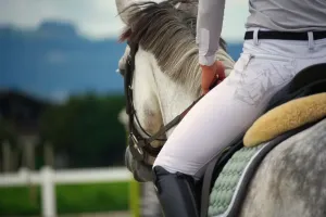 Jak wybrać idealne bryczesy damskie do jazdy konnej